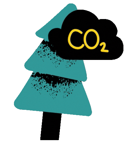 Carbon Impact Report 2023 - CO2