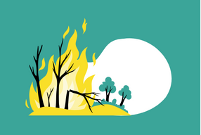 Cool Fire Traditional Land Management, Australia 1
