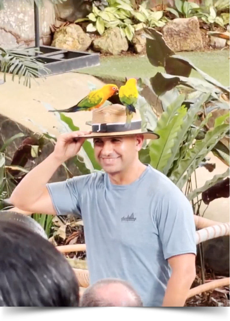 MAD Meetup 2025 Blog Image