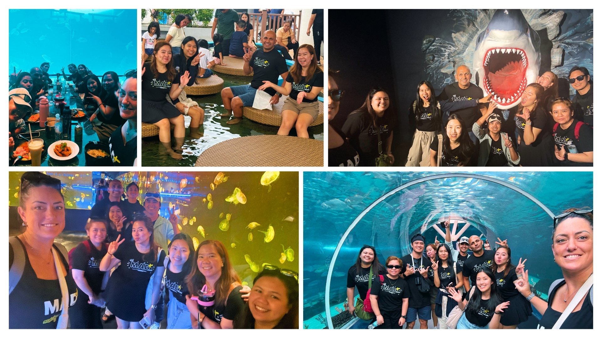 MAD Meetup 2025 Blog Image