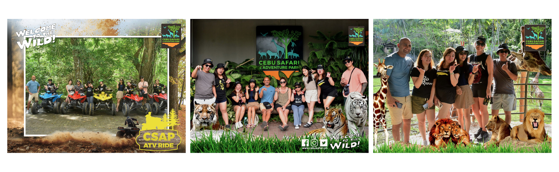 MAD Meetup 2025 Blog Image