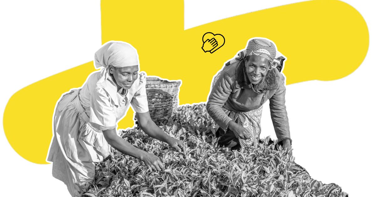 Impact Project Update: Supporting Entrepreneurs, Creating Opportunity